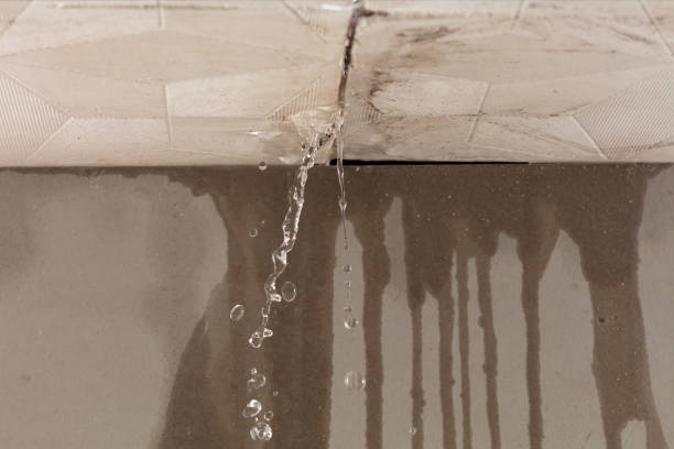 Professional Water Damage Restoration technician working in Silver City, IA